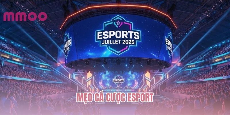 meo-ca-cuoc-esport